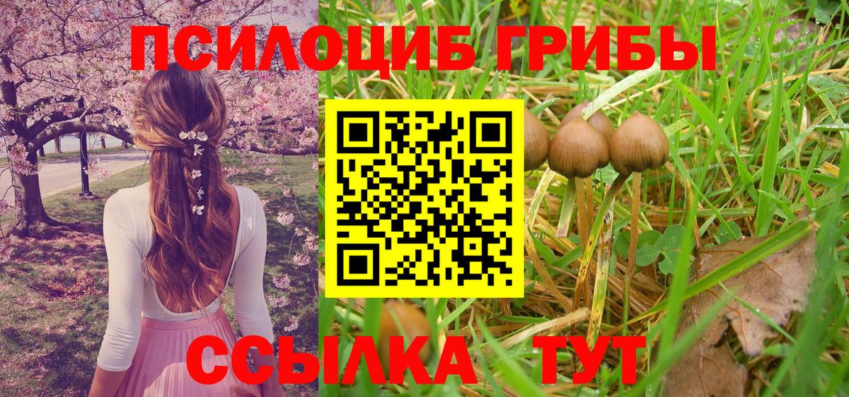 Псилоцибиновые грибы мицелий Заволжье