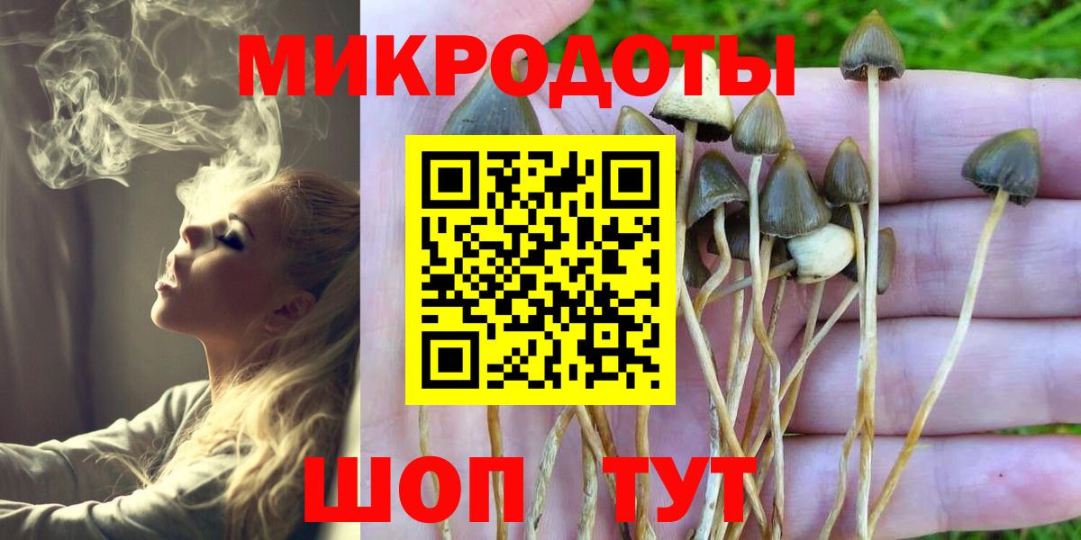 Галлюциногенные грибы мицелий  Вход с VPN  Псилоцибиновые грибы Psilocybe  хочу   Заволжье 